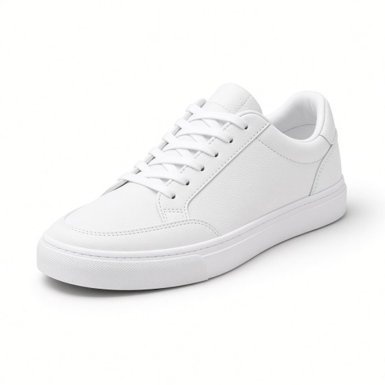 Low-top Skate Shoes