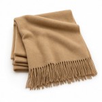 Fringed Cashmere Shawl